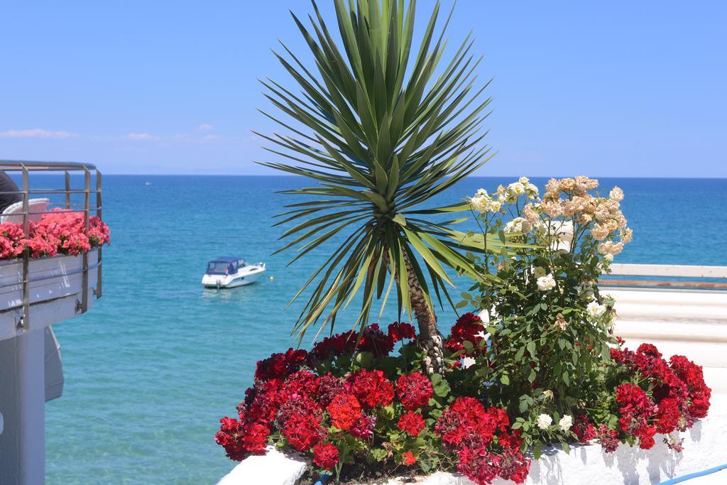 Olympos Beach Plaka Litochorou Exterior photo