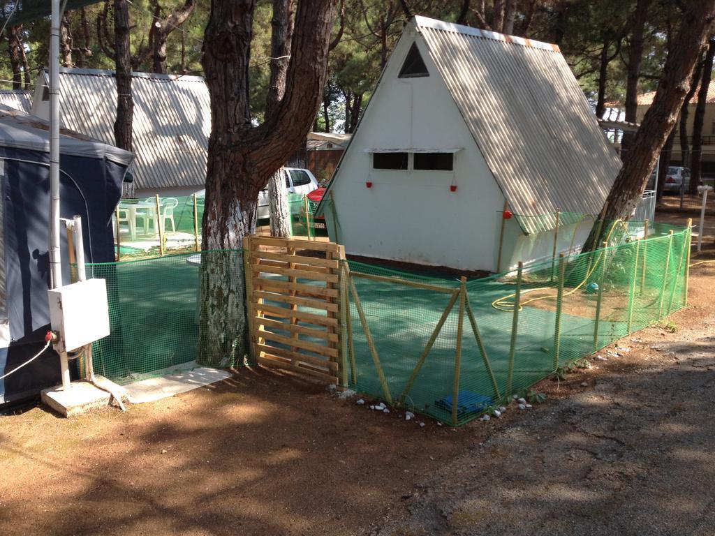 Olympos Beach Plaka Litochorou Exterior photo
