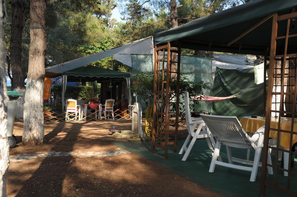Olympos Beach Plaka Litochorou Exterior photo